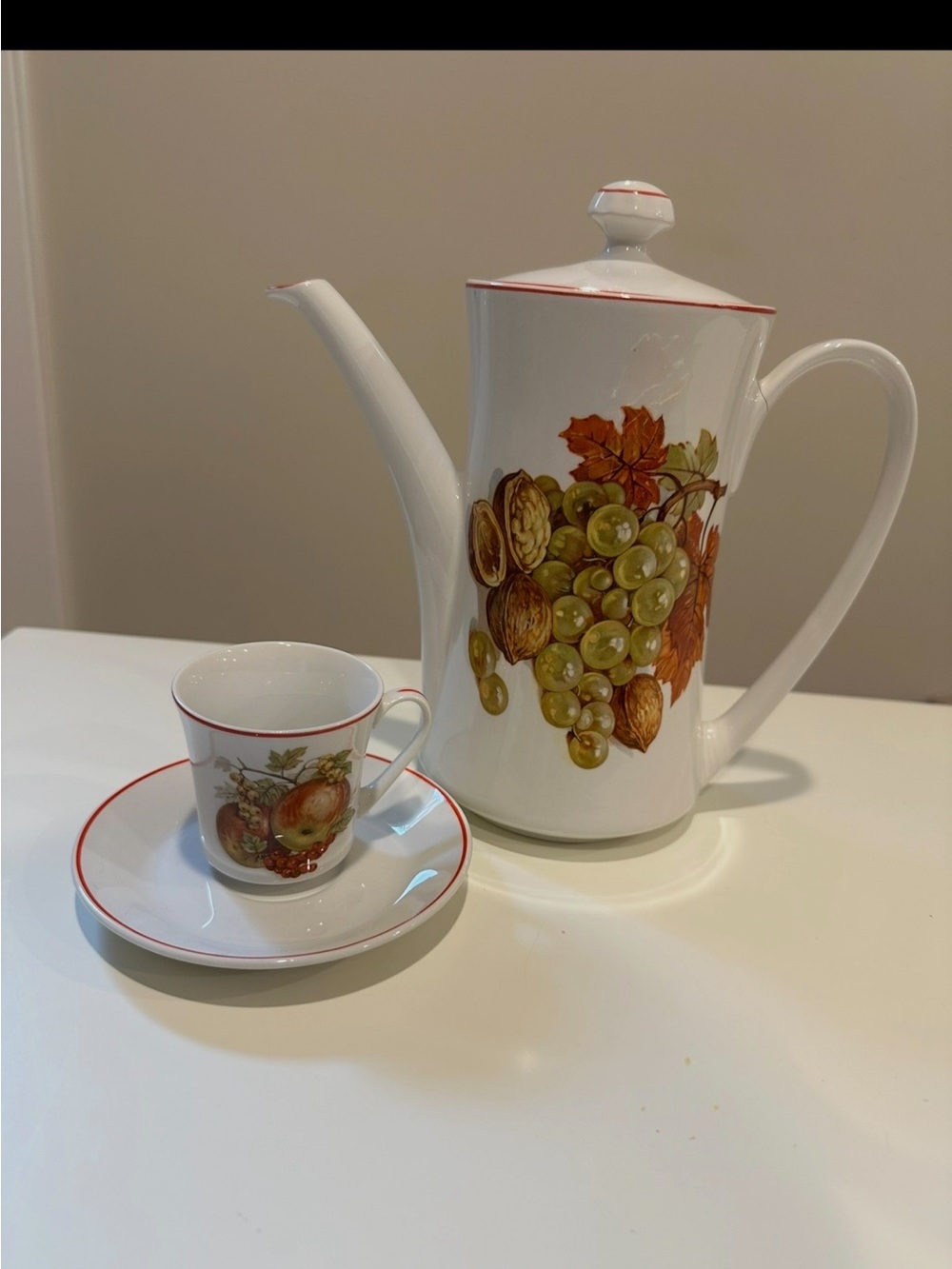 White Porcelain Coffee Pot and Cup Set with Autumn Fruit Design